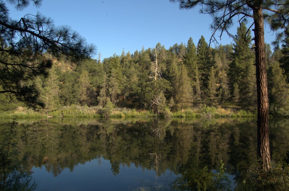 Image Hosted by ImageShack.us